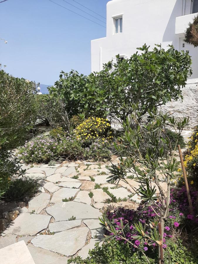 Guest house Angela's Mykonos Town