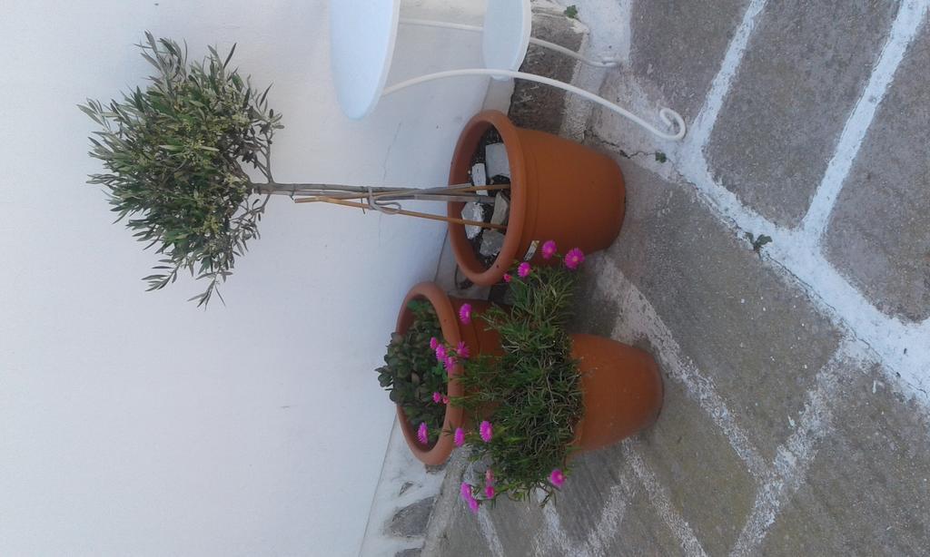 Angela's Guest house